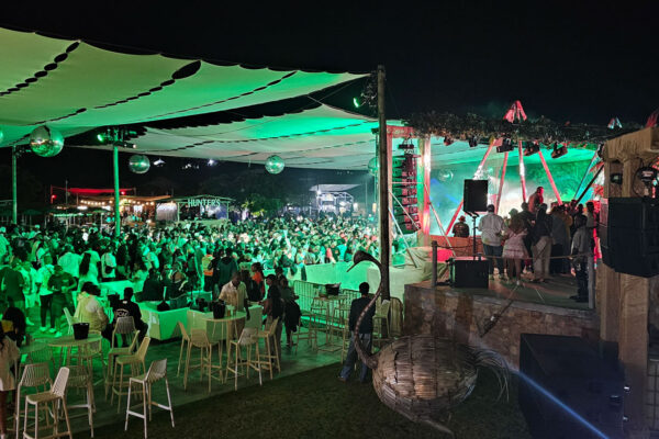 Ostrich Ranch Balcony Mix - December 2024